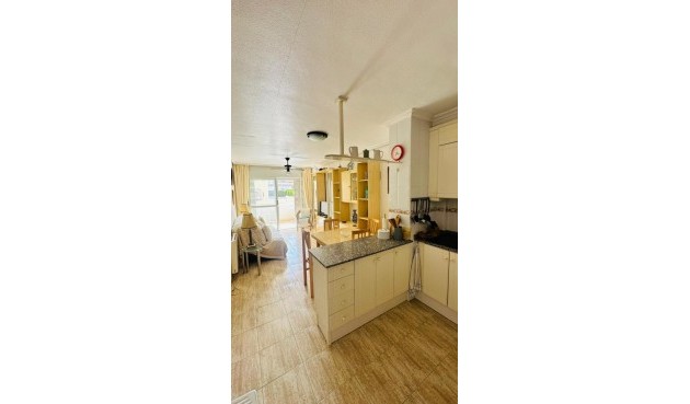 Reventa - Apartment -
Torrevieja - Costa Blanca