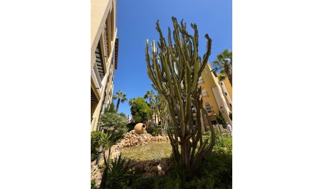 Resale - Penthouse -
Torrevieja - Los Frutales