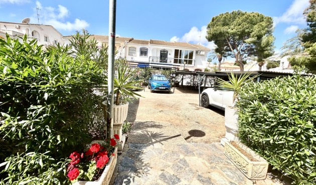 Brukt - Apartment -
La Zenia - Costa Blanca