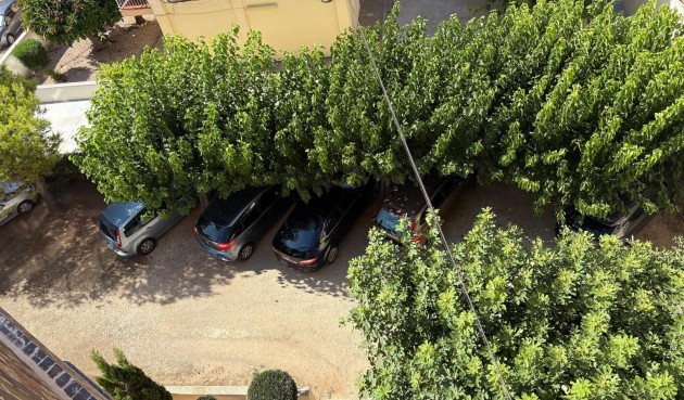 Brukt - Apartment -
Torrevieja - Costa Blanca