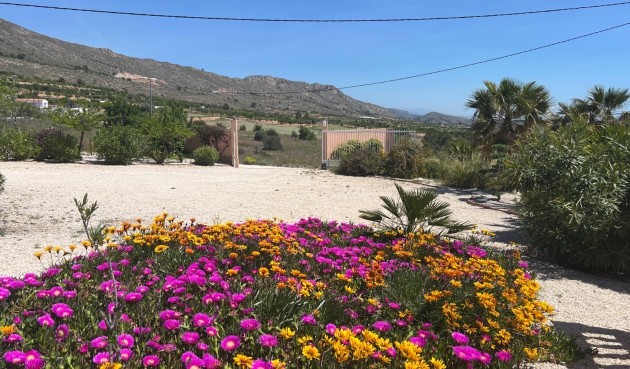 Brukt - Villa -
La Romana - Inland