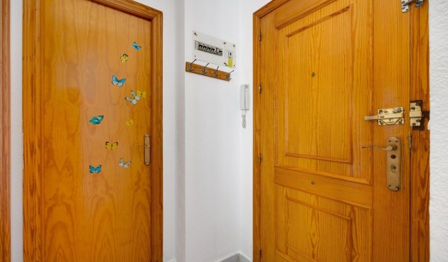 Brukt - Apartment -
Torrevieja - Estacion De Autobuses