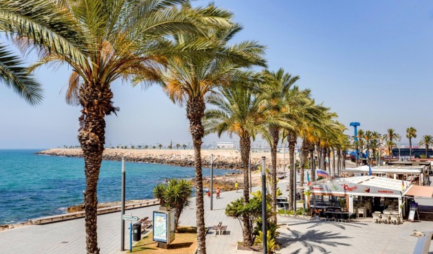 Brukt - Apartment -
Torrevieja - Estacion De Autobuses
