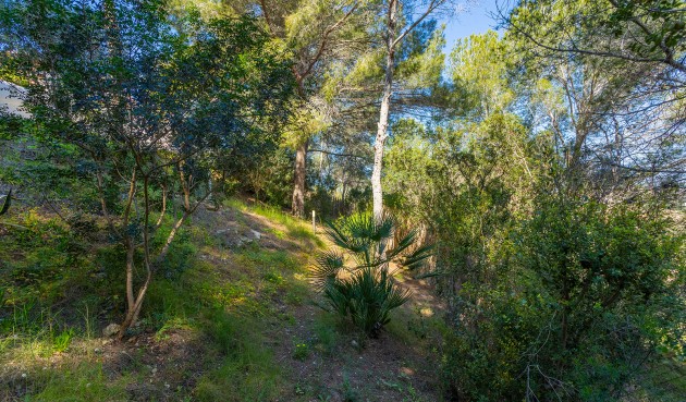 Brukt - Villa -
Orihuela - Inland
