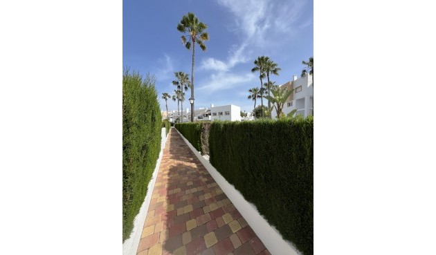 Brukt - Apartment -
Orihuela Costa - Villamartín