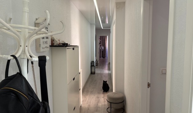 Brukt - Apartment -
Torrevieja - Costa Blanca