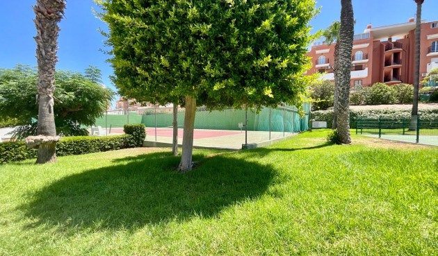 Brukt - Bungalow -
Torrevieja - Torreblanca