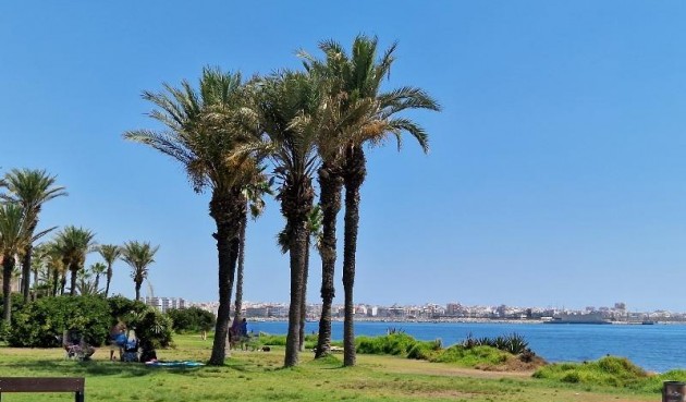 Brukt - Toppleilighet -
Torrevieja - La Veleta