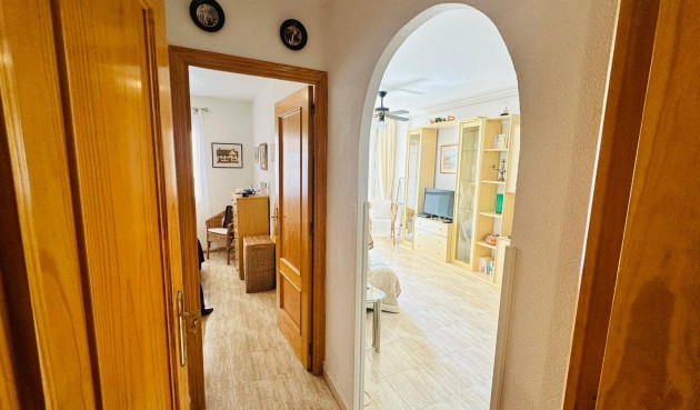 Brukt - Apartment -
Torrevieja - Costa Blanca