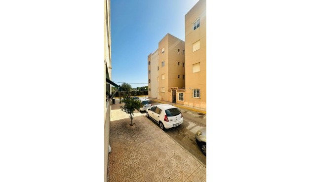 Brukt - Apartment -
Torrevieja - Costa Blanca