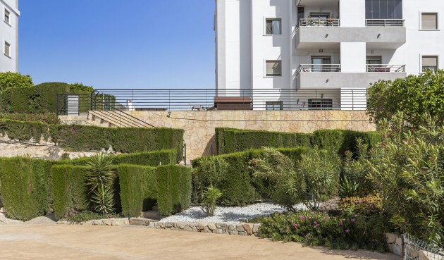 Brukt - Apartment -
San Miguel de Salinas - Inland