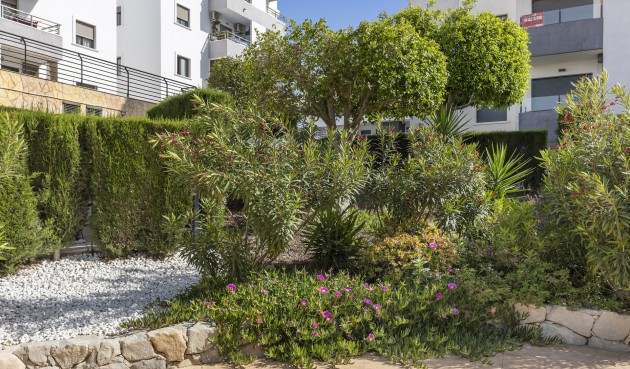 Brukt - Apartment -
San Miguel de Salinas - Inland