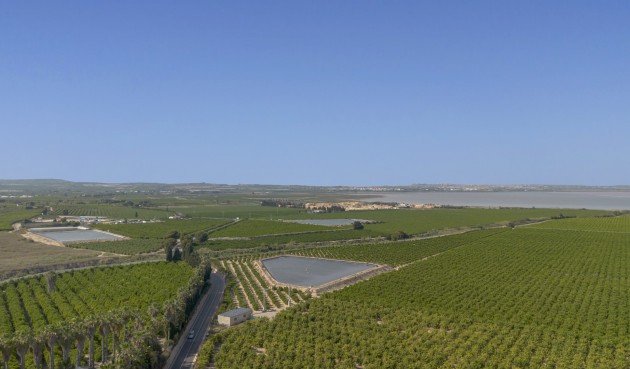 Brukt - Apartment -
San Miguel de Salinas - Inland