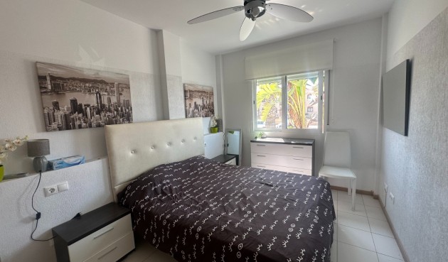 Återförsäljning - Bungalow -
Torrevieja - Costa Blanca