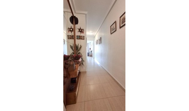 Brukt - Apartment -
Torrevieja - La Mata