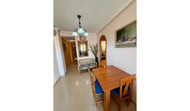 Brukt - Villa -
Torrevieja - Centro