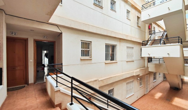 Reventa - Apartment -
Torrevieja - Costa Blanca