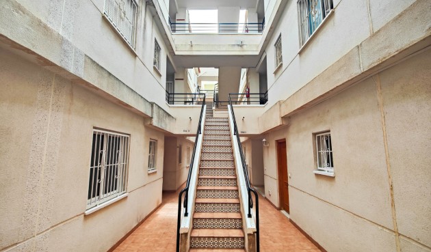 Reventa - Apartment -
Torrevieja - Costa Blanca