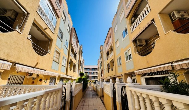 Återförsäljning - Apartment -
La Mata - Costa Blanca