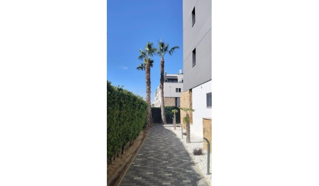 Brukt - Apartment -
Orihuela Costa - PAU 8