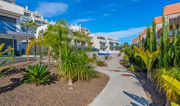 Brukt - Apartment -
Campoamor - Costa Blanca
