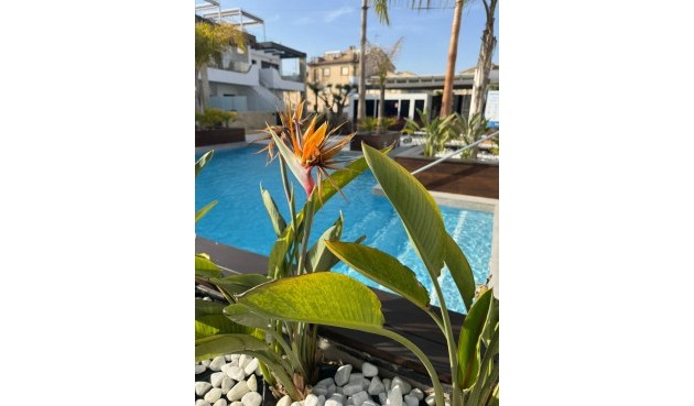 Reventa - Apartment -
Orihuela Costa - Rocio Del Mar