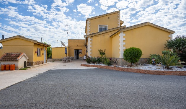 Återförsäljning - Villa -
Elche - Costa Blanca