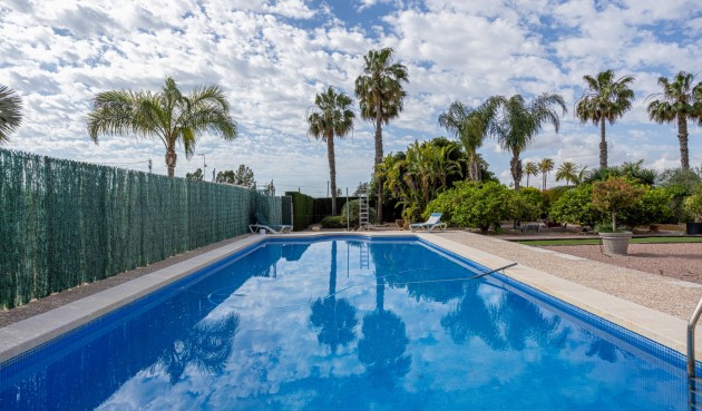 Återförsäljning - Villa -
Elche - Costa Blanca