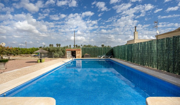 Återförsäljning - Villa -
Elche - Costa Blanca