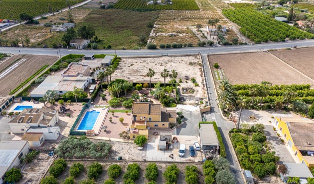 Återförsäljning - Villa -
Elche - Costa Blanca