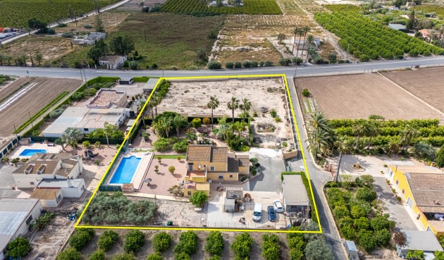 Återförsäljning - Villa -
Elche - Costa Blanca