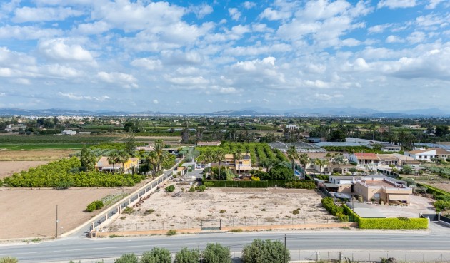 Återförsäljning - Villa -
Elche - Costa Blanca