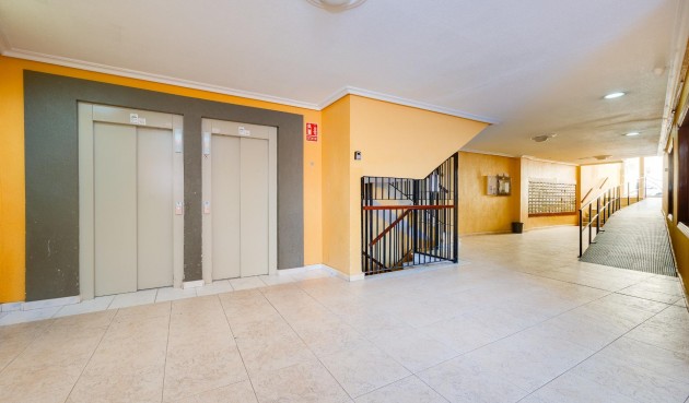 Reventa - Apartment -
Torrevieja - Centro