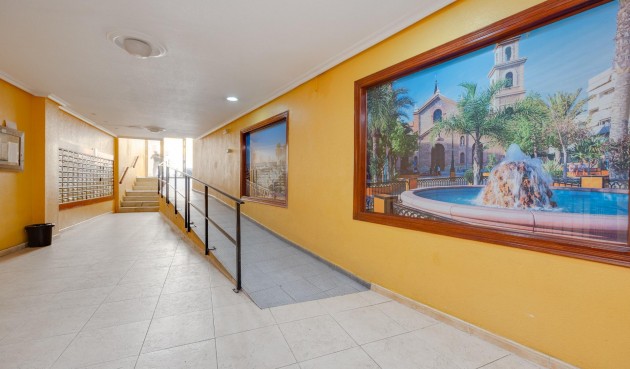 Reventa - Apartment -
Torrevieja - Centro