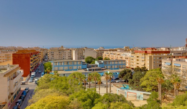 Reventa - Apartment -
Torrevieja - Centro
