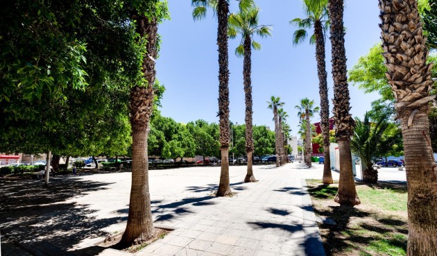 Reventa - Apartment -
Torrevieja - Centro