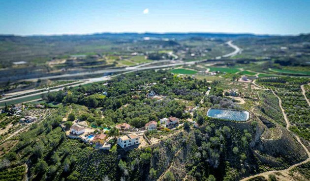Resale - Villa -
Canadas De San Pedro - Inland