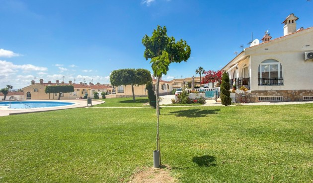 Återförsäljning - Bungalow -
Ciudad Quesada - Costa Blanca