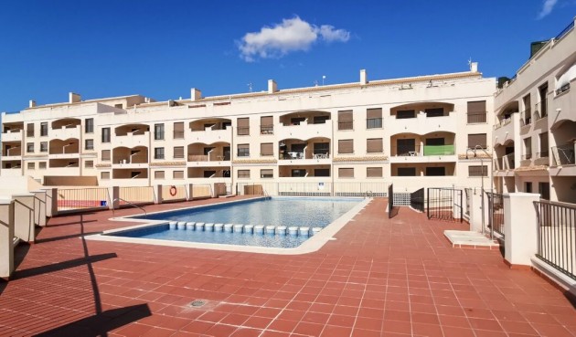 Resale - Apartment -
Sucina - Inland