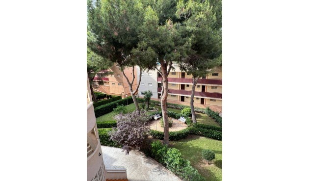 Resale - Apartment -
Pilar de la Horadada - Mil Palmeras