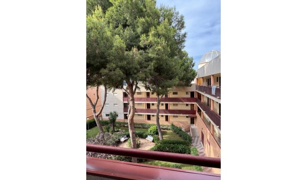 Resale - Apartment -
Pilar de la Horadada - Mil Palmeras