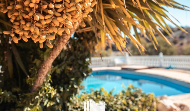 Resale - Villa -
Lorca - Costa Calida