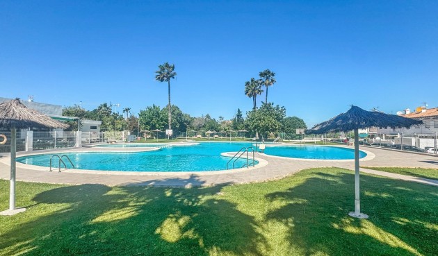 Reventa - Bungalow -
Torrevieja - Costa Blanca