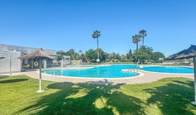 Reventa - Bungalow -
Torrevieja - Costa Blanca