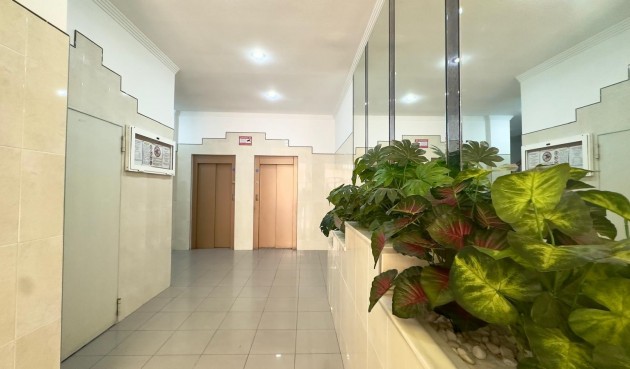 Återförsäljning - Apartment -
Torrevieja - Centro