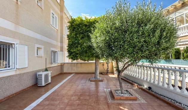 Brukt - Apartment -
Orihuela Costa - Costa Blanca