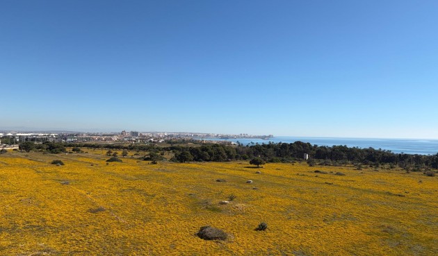 Brukt - Toppleilighet -
Torrevieja - Punta Prima
