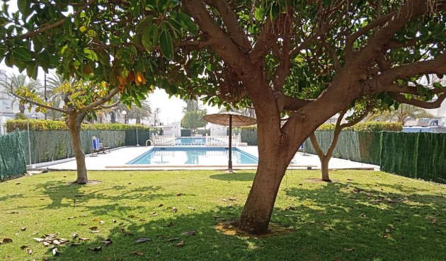 Reventa - Apartment -
Torrevieja - MAR AZUL LA VELETA