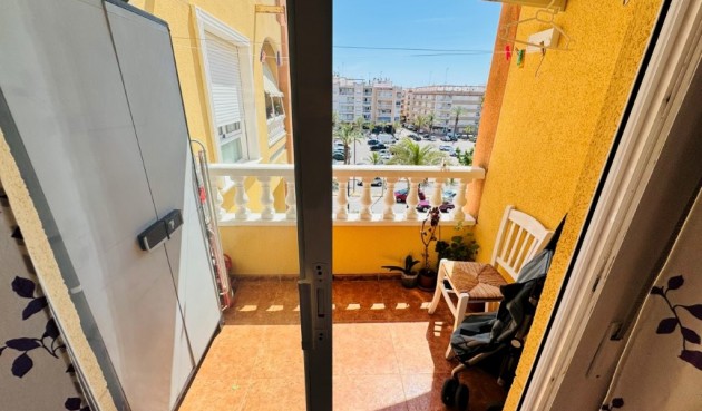 Brukt - Apartment -
Guardamar del Segura - Costa Blanca