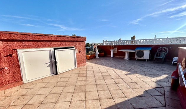 Brukt - Apartment -
Torrevieja - Costa Blanca